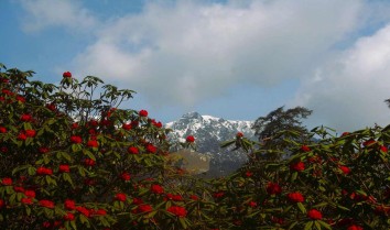 Ganesh Himal Trek